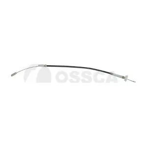 02829 OSSCA
