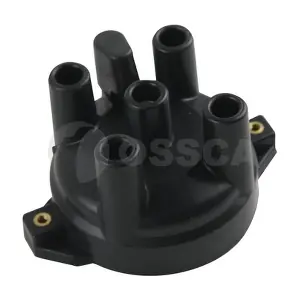 16958 OSSCA
