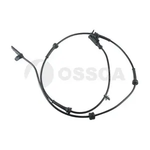 23691 OSSCA
