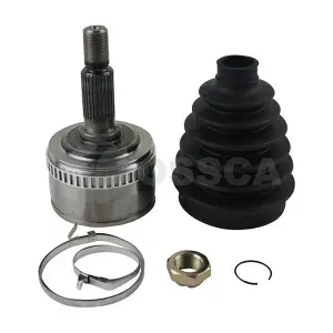 25107 OSSCA