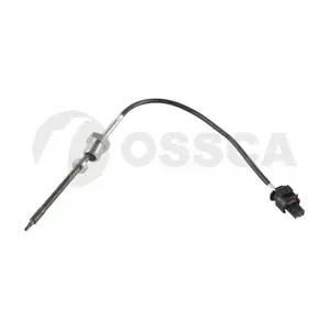 32335 OSSCA