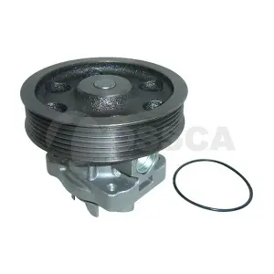 04900 OSSCA