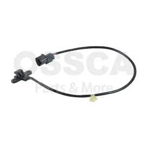 31606 OSSCA