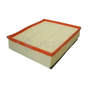 08599 OSSCA