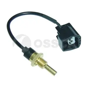 03997 OSSCA