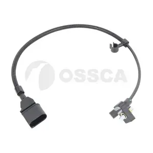 20598 OSSCA