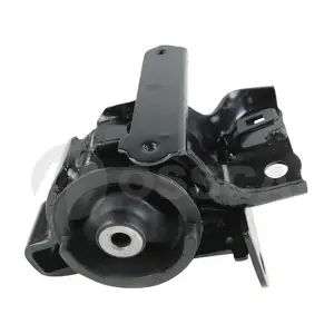 42480 OSSCA