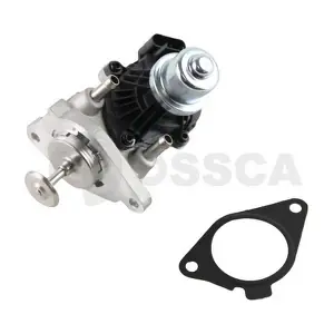 40452 OSSCA