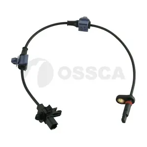 36447 OSSCA