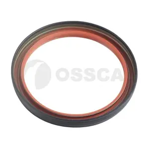 66872 OSSCA