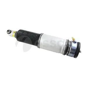 21729 OSSCA