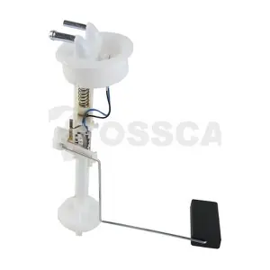 41256 OSSCA