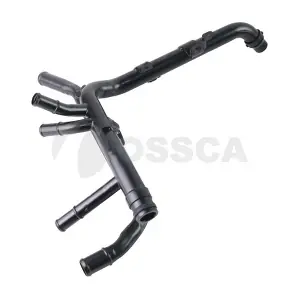 66589 OSSCA
