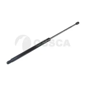 22966 OSSCA