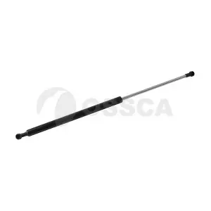 07552 OSSCA