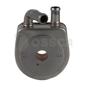 19248 OSSCA