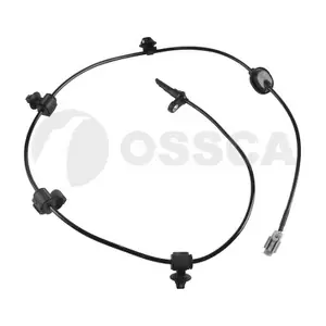 30609 OSSCA