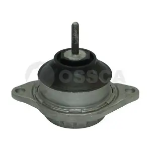 00729 OSSCA