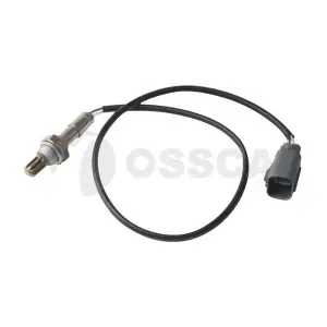 20845 OSSCA