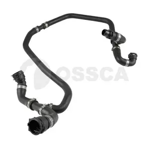 54586 OSSCA