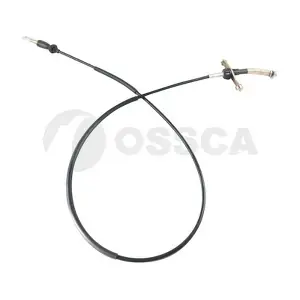 20209 OSSCA