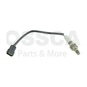 50702 OSSCA