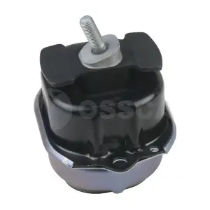 25034 OSSCA