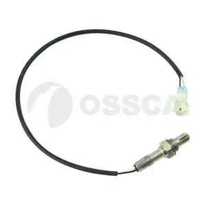 34339 OSSCA