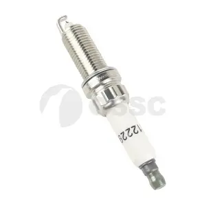 56163 OSSCA