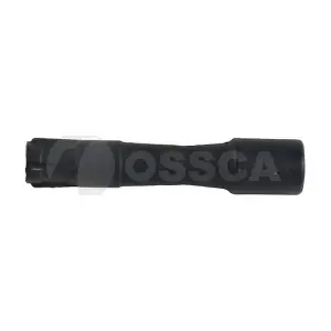 19538 OSSCA