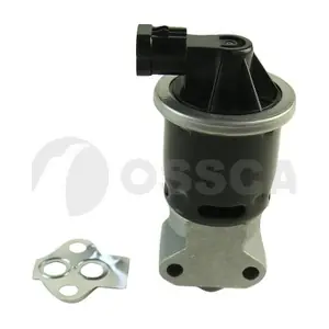 20881 OSSCA