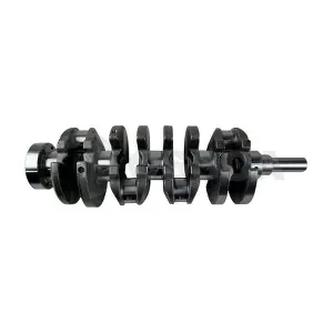 88006 OSSCA