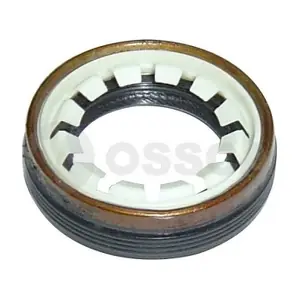 09841 OSSCA