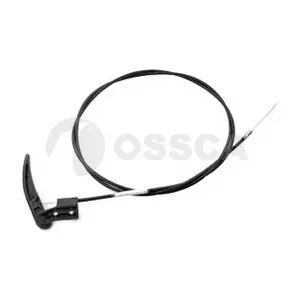 02503 OSSCA