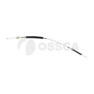 21428 OSSCA