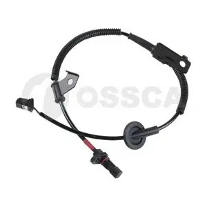 36522 OSSCA