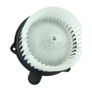 79166 OSSCA