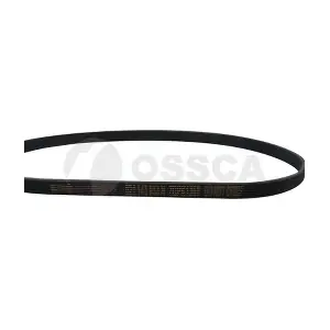 15615 OSSCA