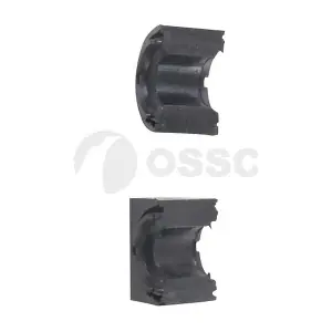 65078 OSSCA