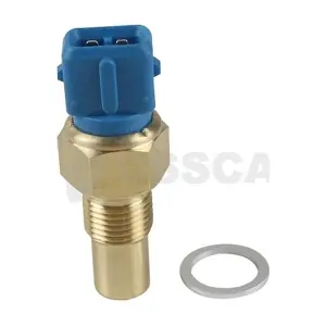 52451 OSSCA