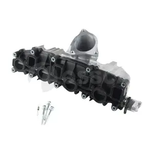 42210 OSSCA