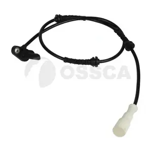 31062 OSSCA