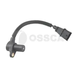 21791 OSSCA