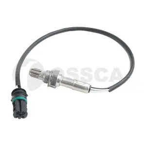 42466 OSSCA
