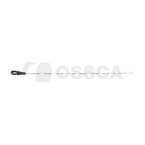 53691 OSSCA