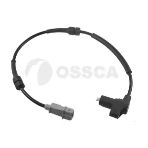 08193 OSSCA