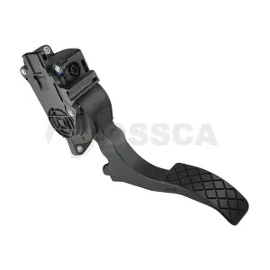 07071 OSSCA