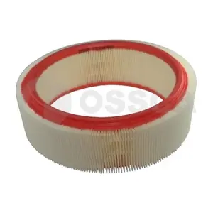 OSSCA 06879