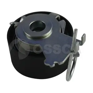 16993 OSSCA