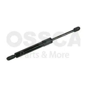 91037 OSSCA